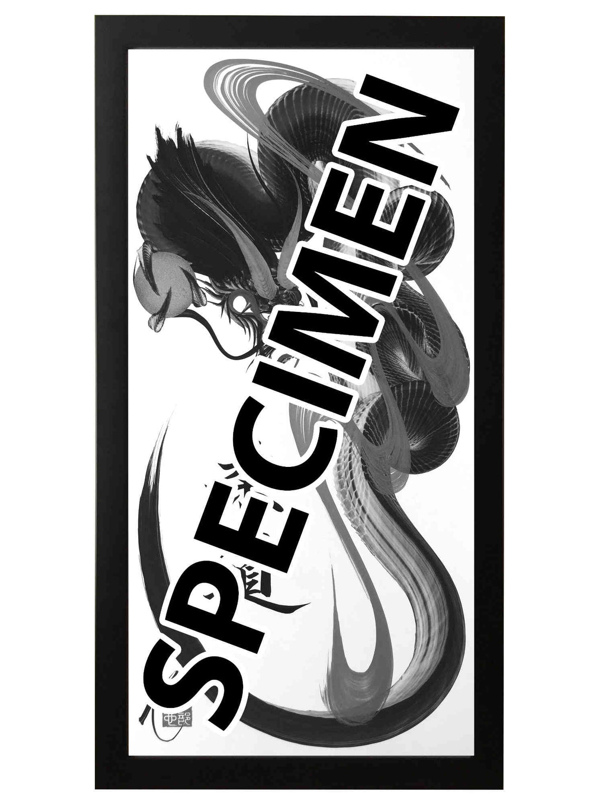 frame black 25x50 OTH 002 1