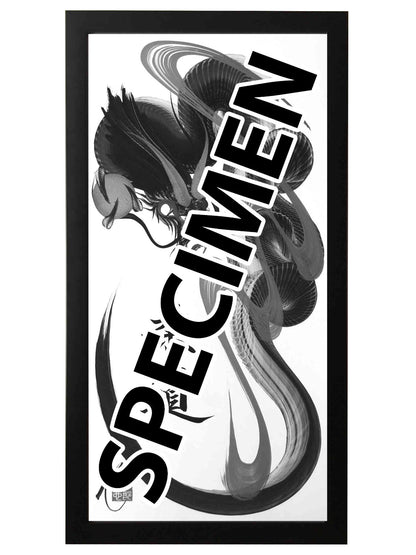 frame black 25x50 OTH 002 1