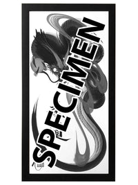 frame black 25x50 OTH 002 1