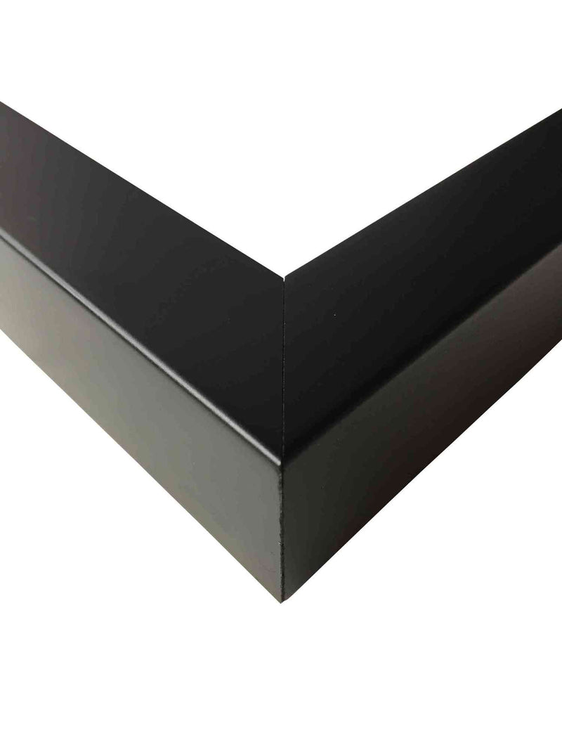 products/frame_black_25x50_OTH_002_2.jpg