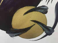 japanese dragon painting DRG W7 002 3