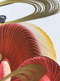 japanese dragon painting DRG W 0013 4