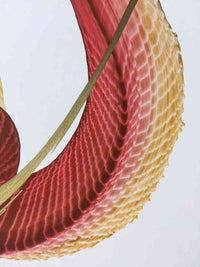 japanese dragon painting DRG W 0013 5